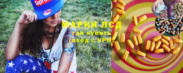 прущие грибы Беслан