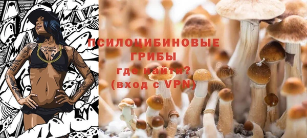 прущие грибы Беслан