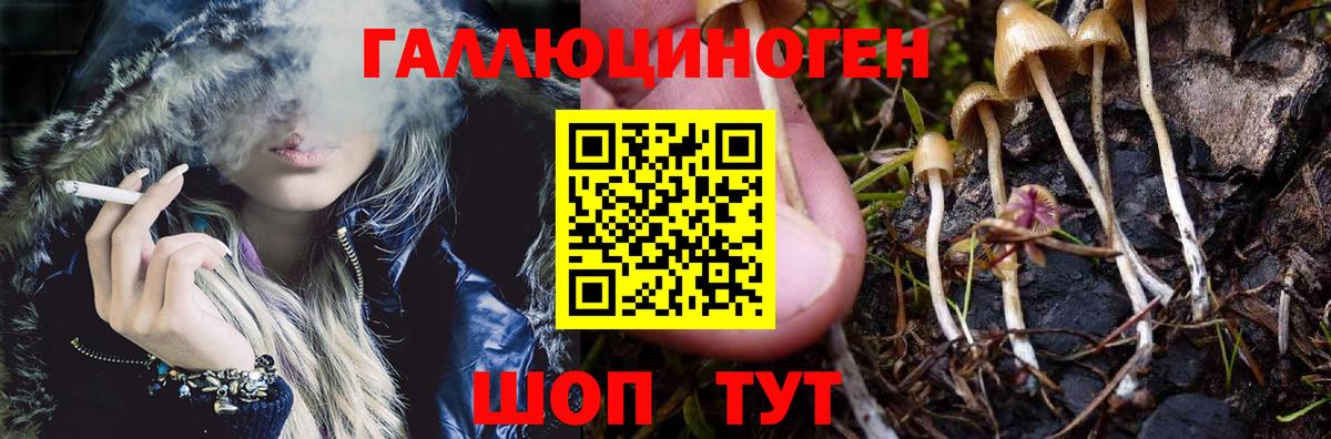купить   Вход с VPN  Зима  Галлюциногенные грибы Magic Shrooms 
