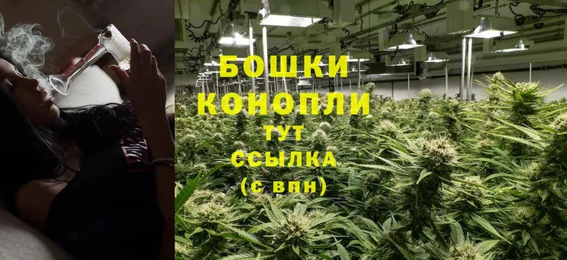 купить  сайты  Зима  Бошки марихуана Bruce Banner 